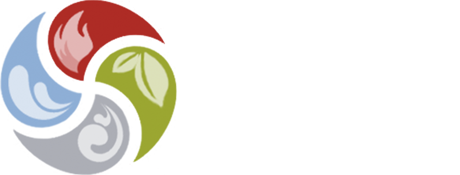 Elemental Four Members